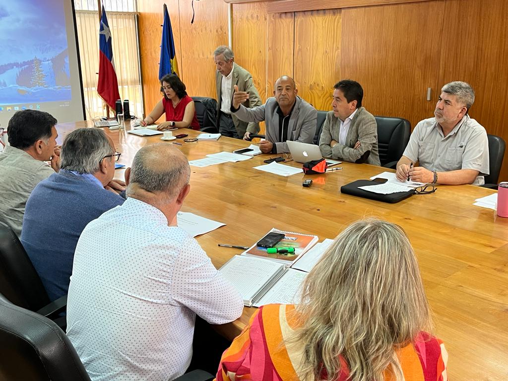Consejo Regional de Atacama se interiorizó sobre los avances de la actualización de la ERDA
